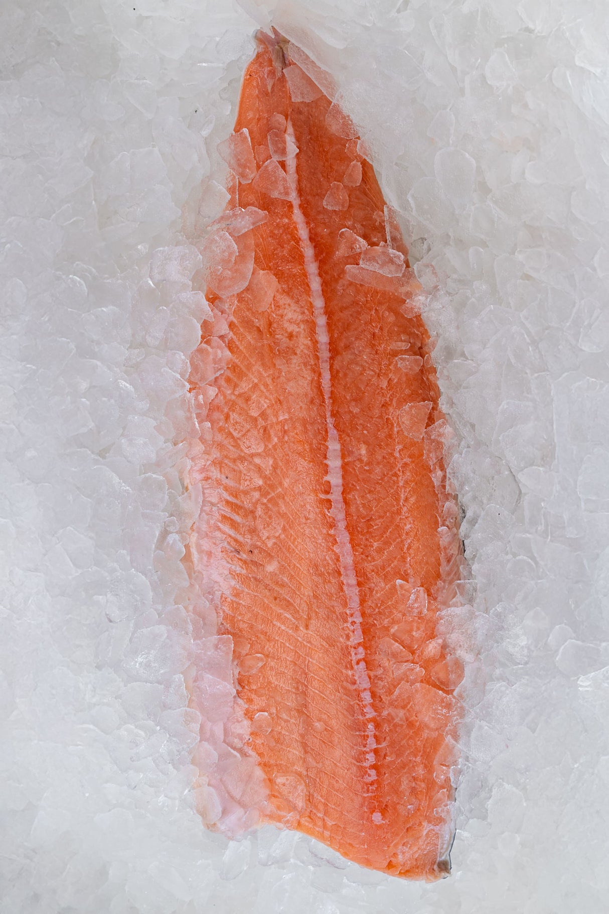 Filés de Salmão - 1,3kg - 1,5kg