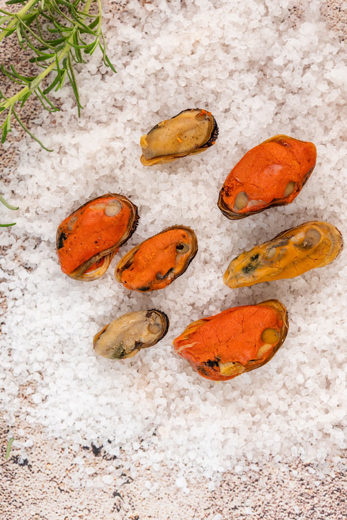 Marisco Desconchado - 1kg