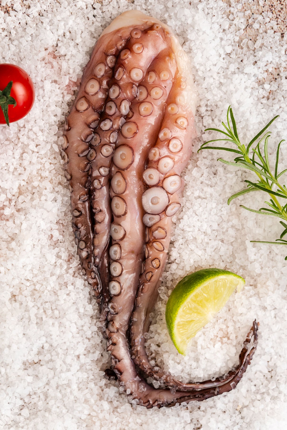 Tentáculos de Polvo M - 1KG